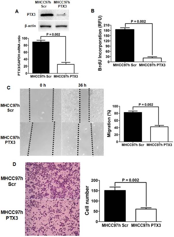 J Cancer Image