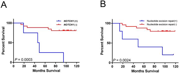 J Cancer Image