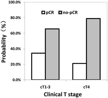 J Cancer Image