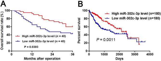 J Cancer Image