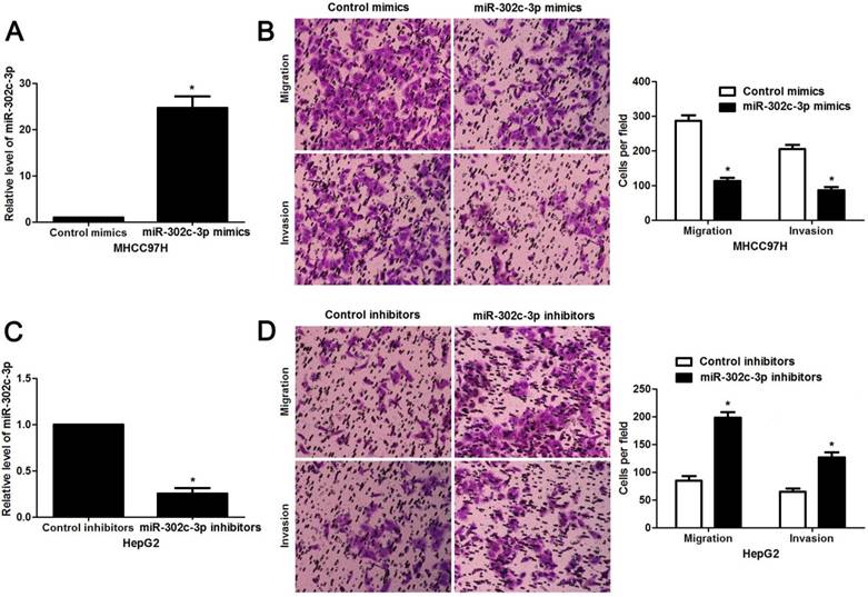 J Cancer Image