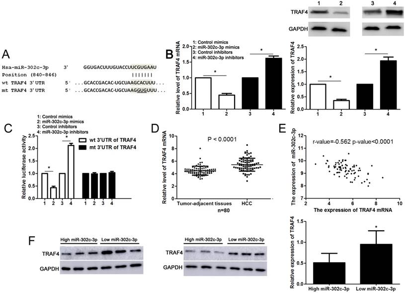 J Cancer Image