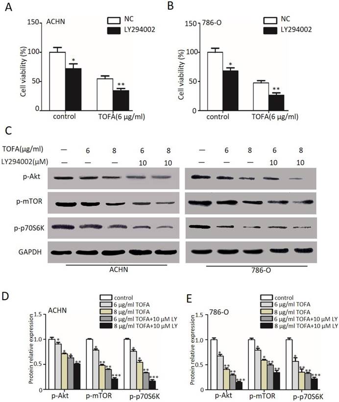 J Cancer Image