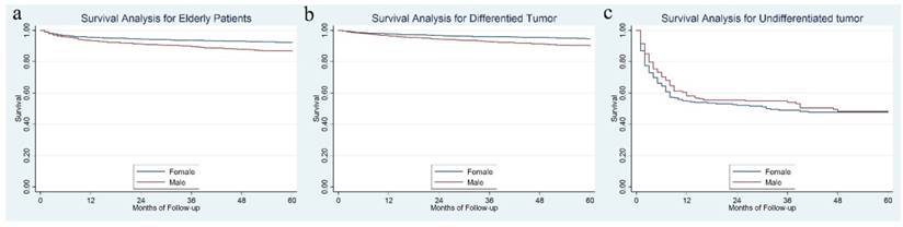 J Cancer Image