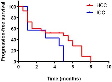 J Cancer Image