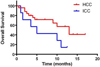 J Cancer Image