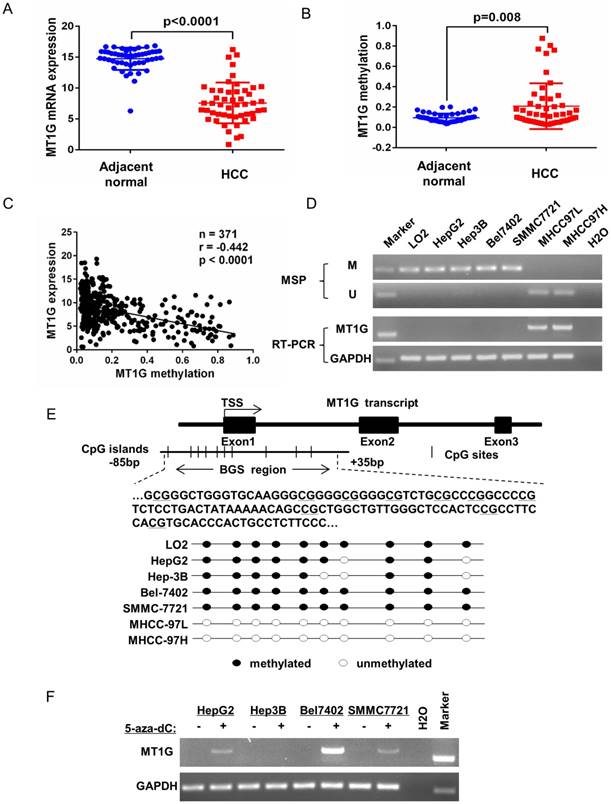 J Cancer Image