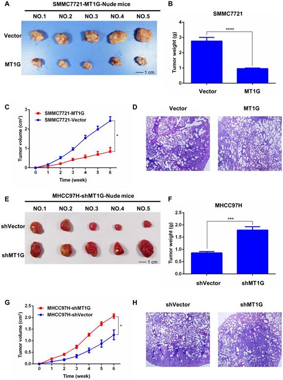 J Cancer Image