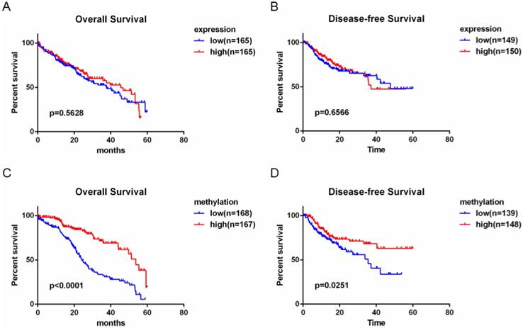 J Cancer Image