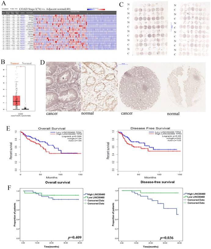 J Cancer Image