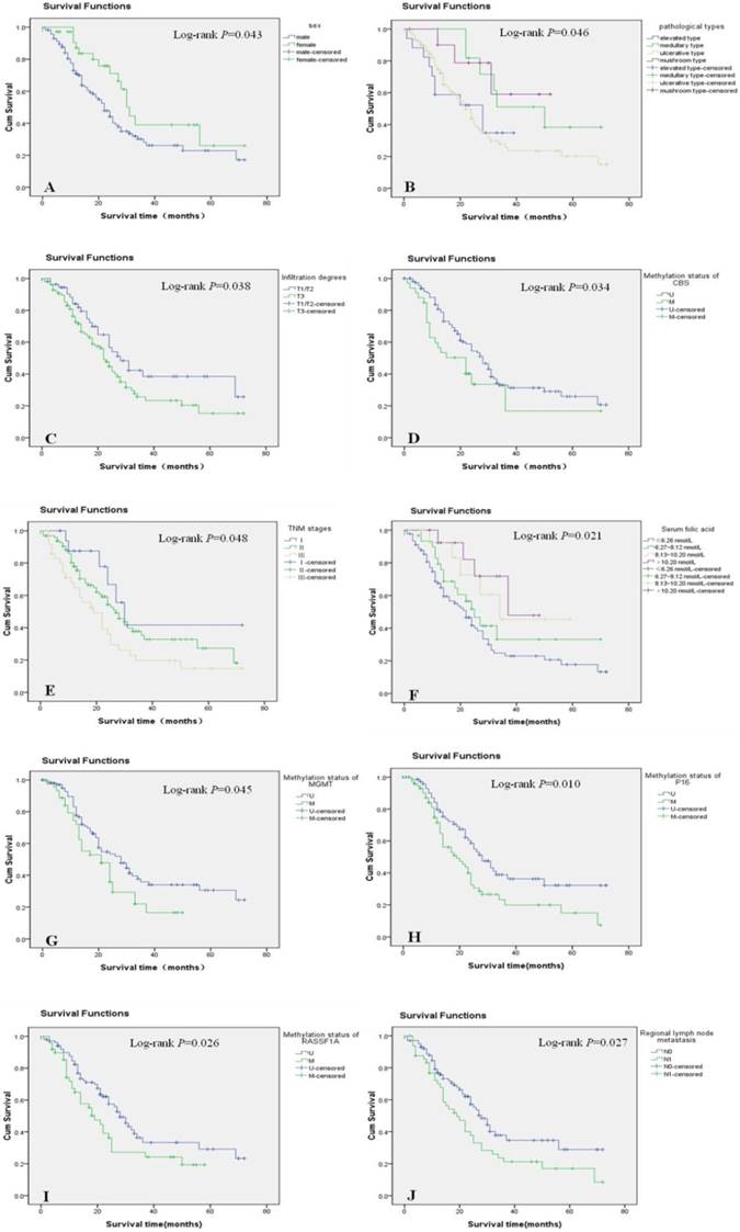 J Cancer Image