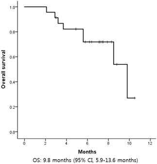 J Cancer Image