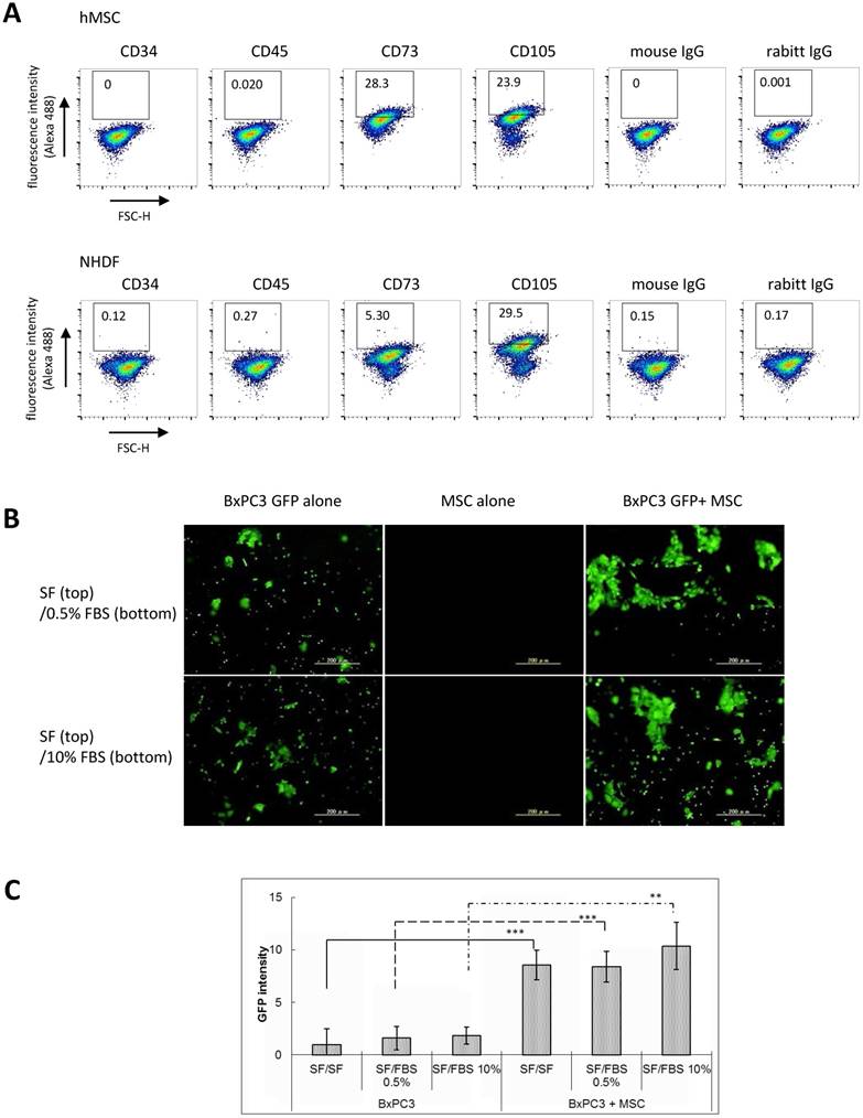 J Cancer Image