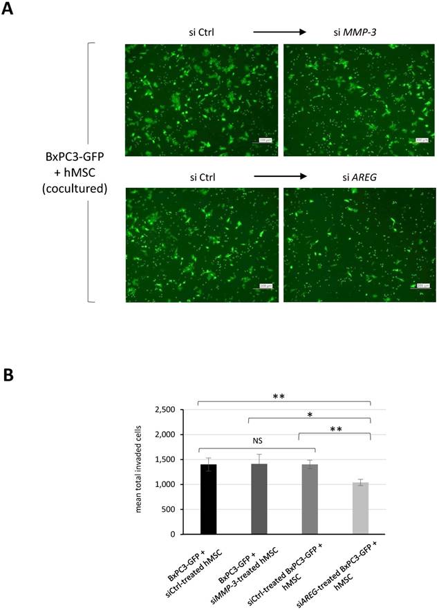 J Cancer Image