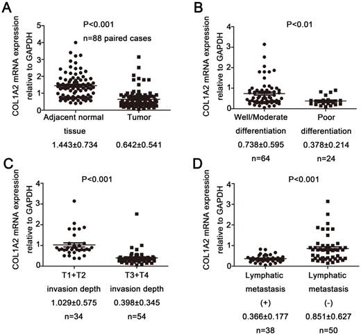 J Cancer Image