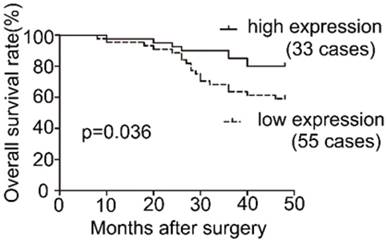 J Cancer Image