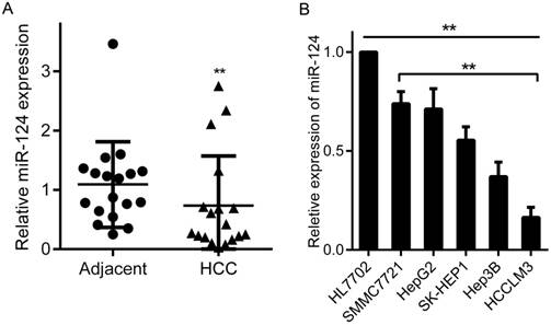 J Cancer Image