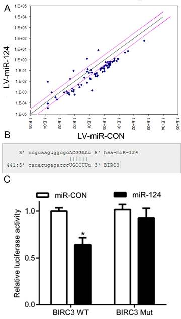 J Cancer Image