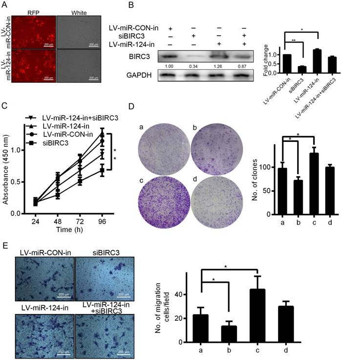 J Cancer Image