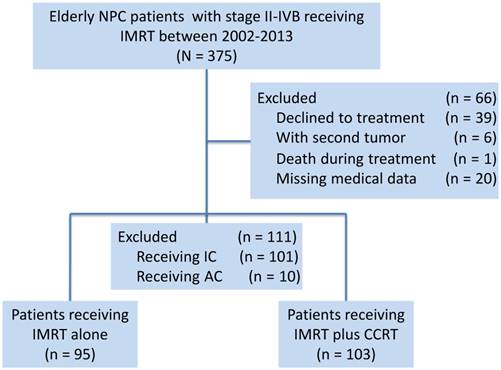 J Cancer Image