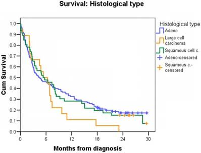 J Cancer Image