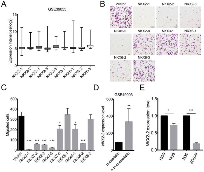 J Cancer Image