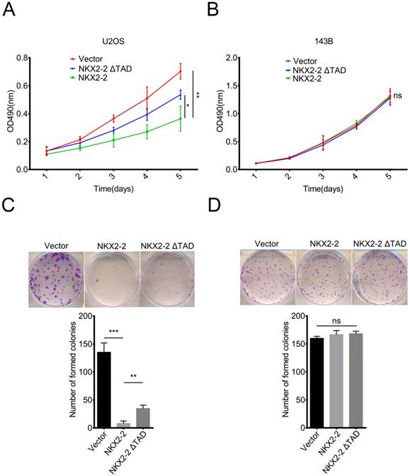 J Cancer Image