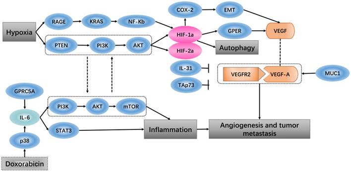 J Cancer Image