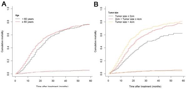 J Cancer Image