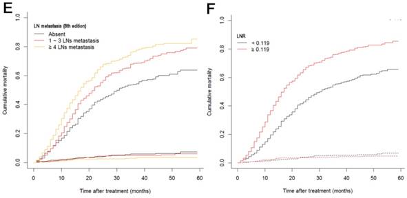 J Cancer Image