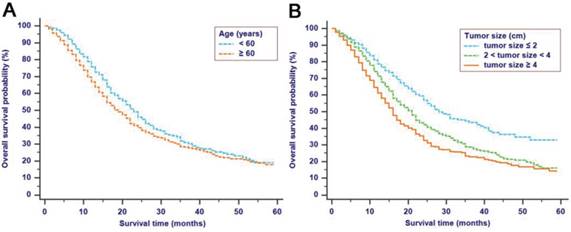 J Cancer Image