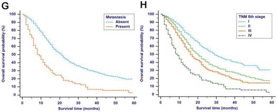 J Cancer Image