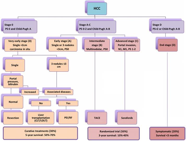 J Cancer Image