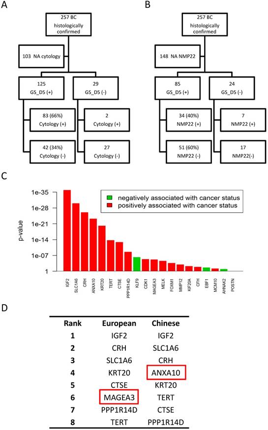 J Cancer Image