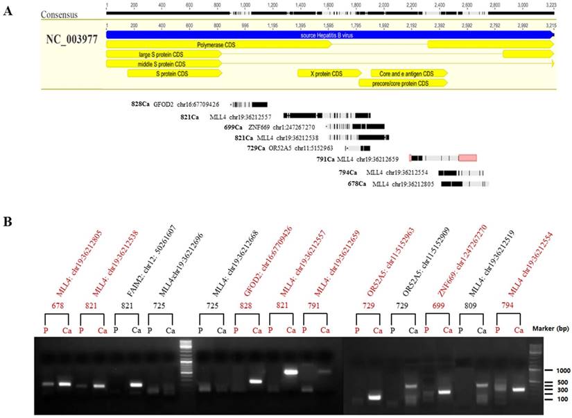 J Cancer Image