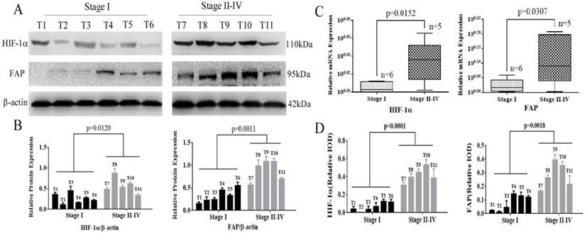 J Cancer Image