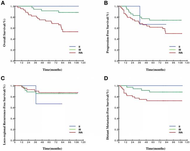 J Cancer Image