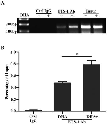 J Cancer Image