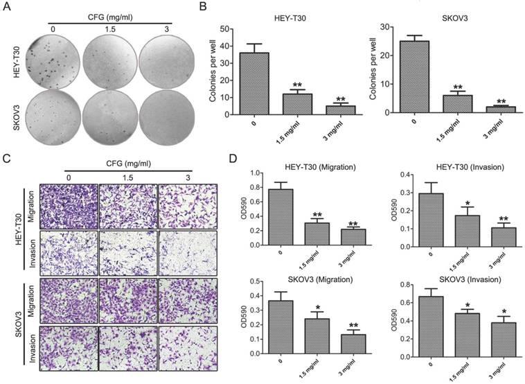 J Cancer Image