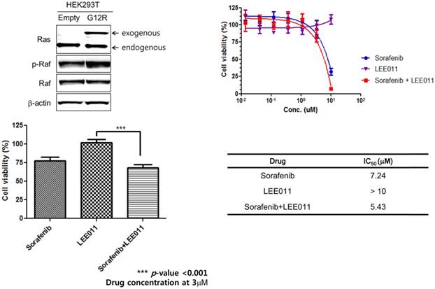 J Cancer Image