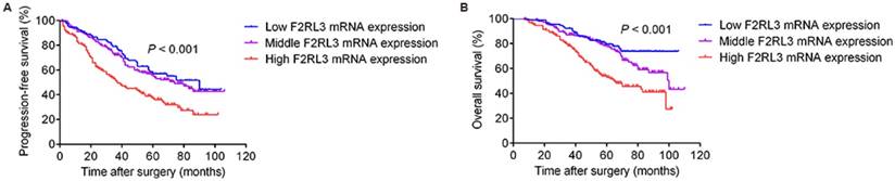 J Cancer Image