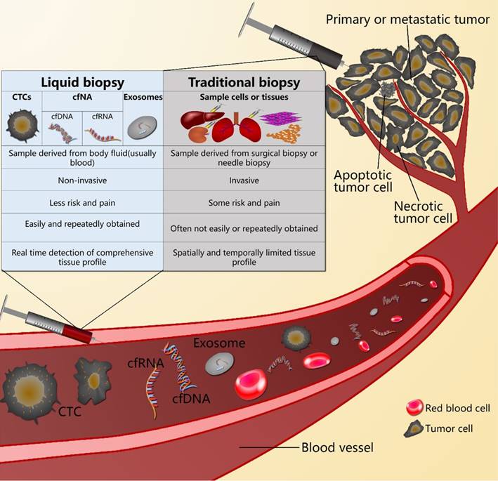 J Cancer Image