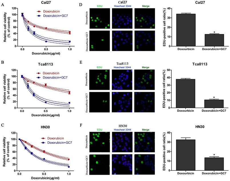 J Cancer Image