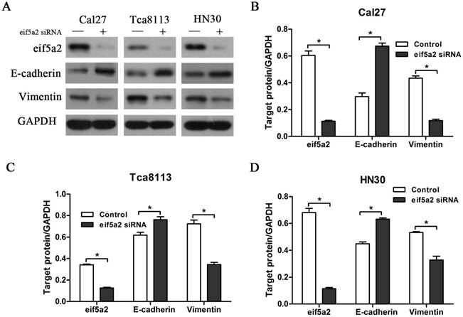 J Cancer Image