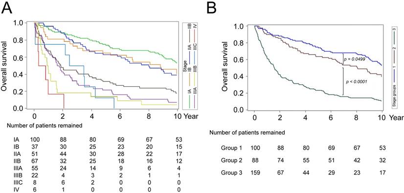 J Cancer Image