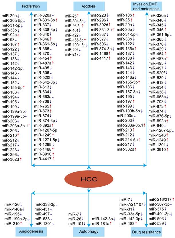 J Cancer Image