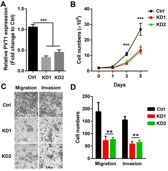 J Cancer Image