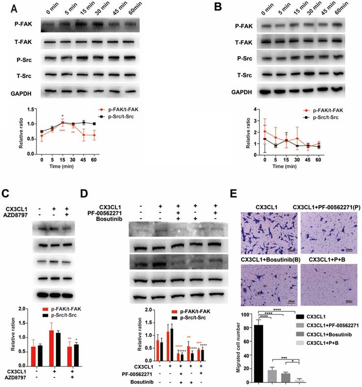 J Cancer Image