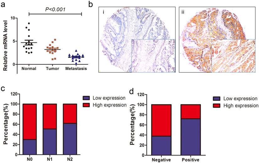 J Cancer Image