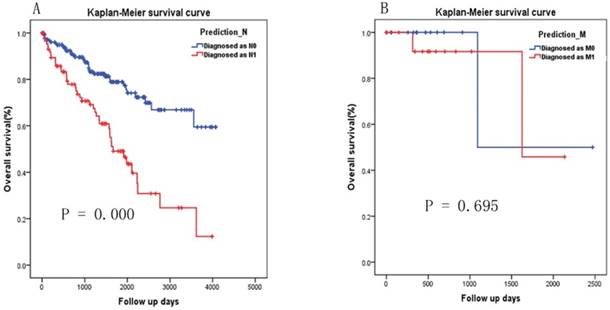 J Cancer Image